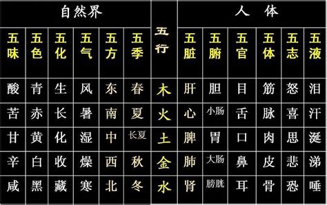 全字五行|全字五行属什么